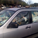 Illustration for article titled This Is Why They Invented Roof Racks